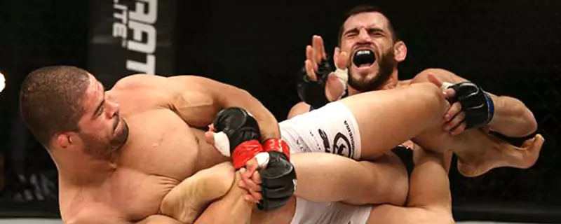 Rousimar Palhares