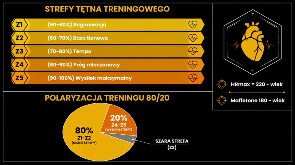 Infografika strefy tętna Z1-Z5 – procent HRmax, charakter wysiłku, zastosowanie i model polaryzacji 80/20