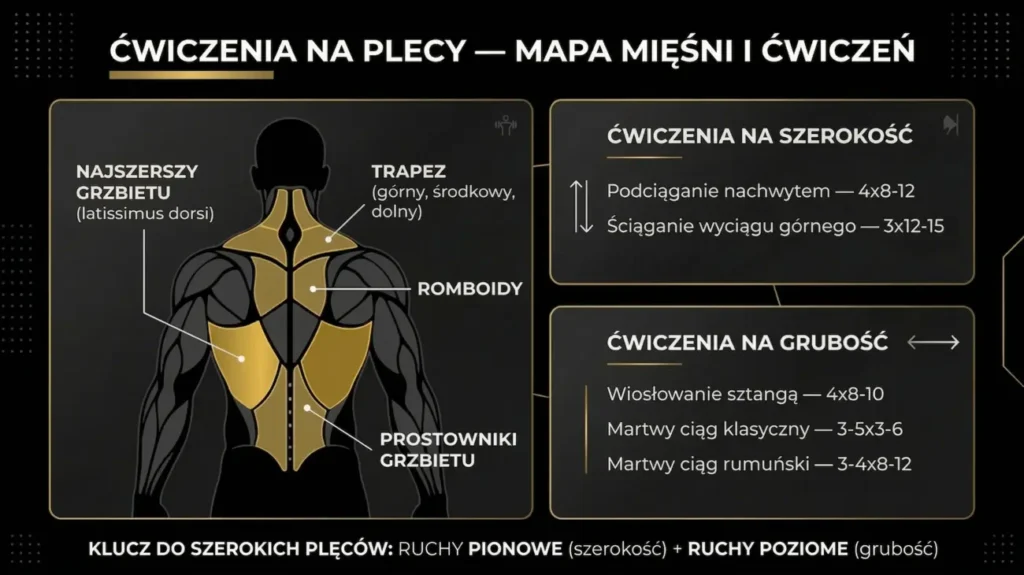 Infografika ćwiczenia na plecy – mapa mięśni i ćwiczeń na szerokość i grubość