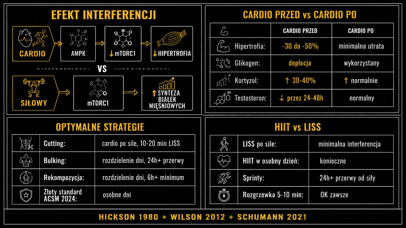 Infografika: efekt interferencji – schemat AMPK vs mTORC1, porównanie cardio przed vs po, optymalne strategie dla redukcji, budowania masy i rekompozycji oraz HIIT vs LISS