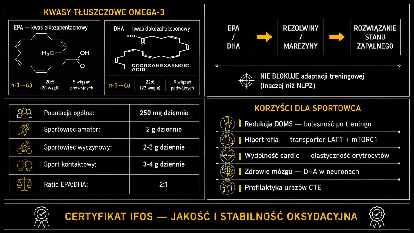 Infografika: Kwasy omega-3 dla sportowca – struktury molekularne EPA i DHA, mechanizm rezolwin i marezyn, tabela dawkowania, pięć kluczowych korzyści sportowych, certyfikat IFOS
