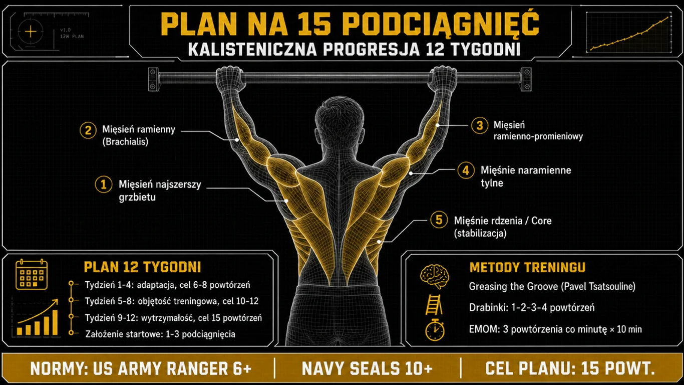 Infografika: Plan na 15 podciągnięć – anatomiczny wireframe grup mięśniowych pracujących w pull-up, 12-tygodniowy plan w trzech fazach oraz normy wojskowe