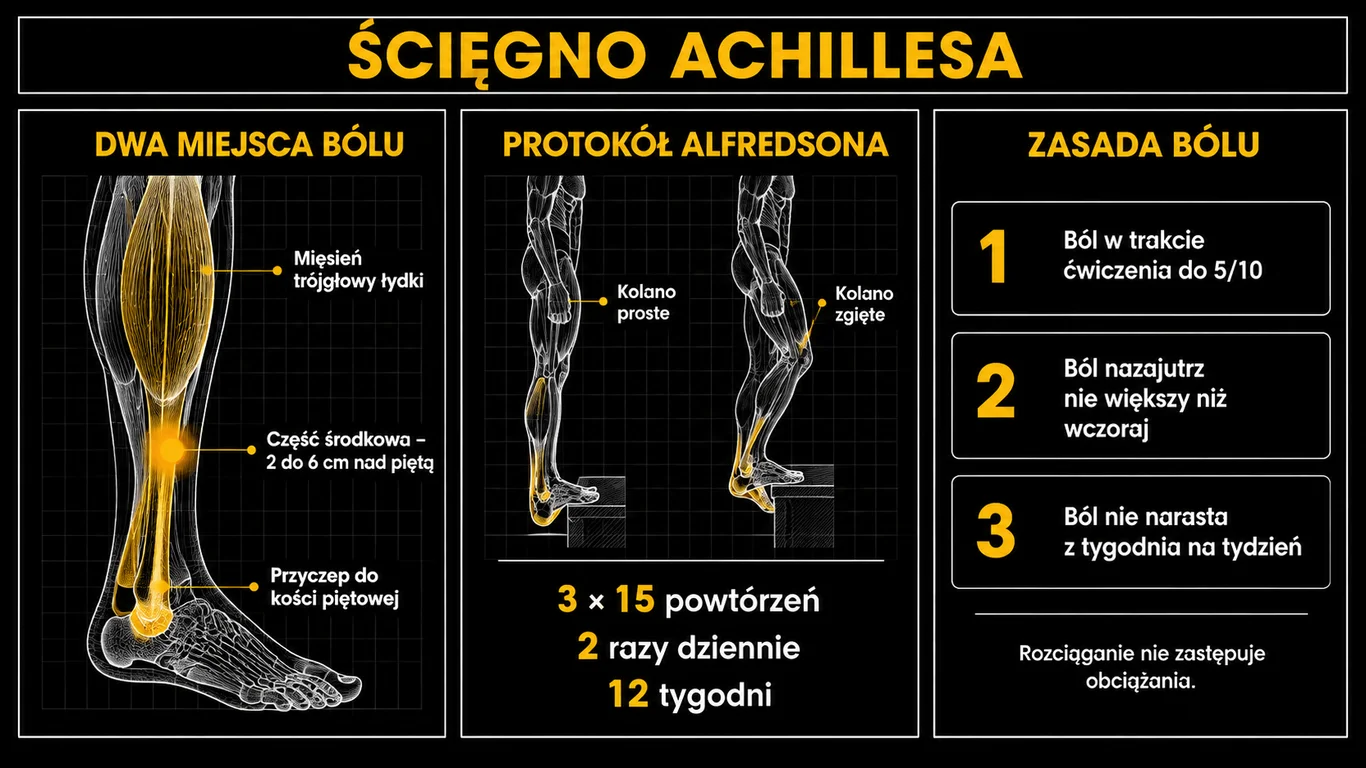 Infografika: ścięgno Achillesa – dwa miejsca bólu (część środkowa 2–6 cm nad piętą i przyczep do kości piętowej), protokół Alfredsona z kolanem prostym i zgiętym na krawędzi stopnia oraz trzy zasady kontroli bólu
