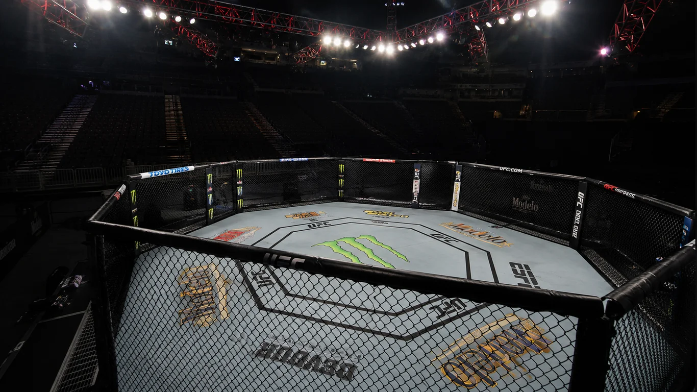 Pusta klatka do walk MMA oświetlona reflektorami areny